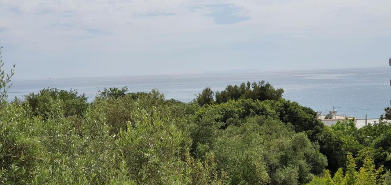 Seaview Apartment บอร์ช ภายนอก รูปภาพ